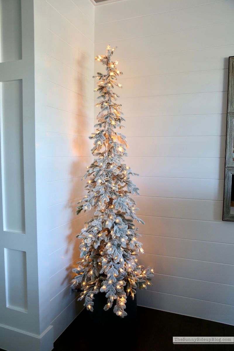 Christmas Trees (Sunny Side Up)