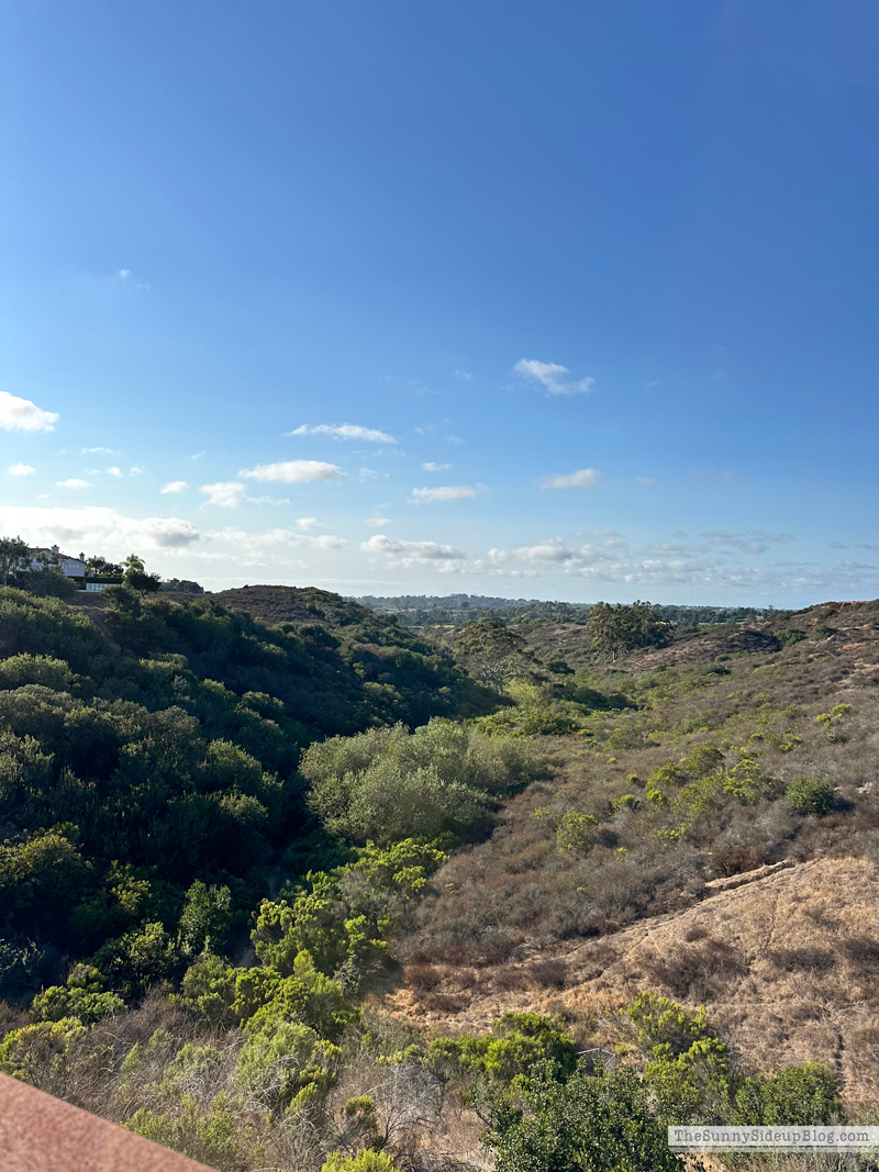 Fall (Sunny Side Up)