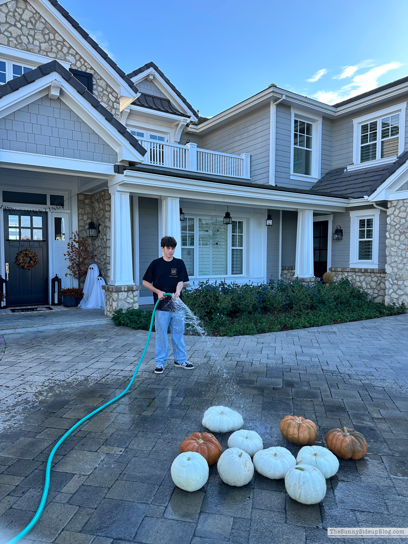Pumpkin Washing (Sunny Side Up)