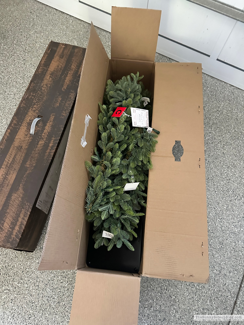 Christmas Decorating (Sunny Side Up)