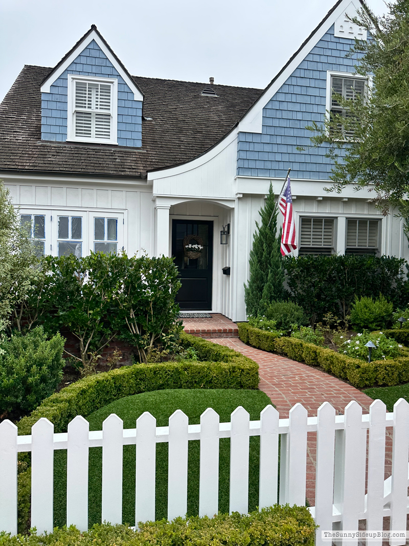 Christmas arrivals, Prime and Newport (Sunny Side Up)