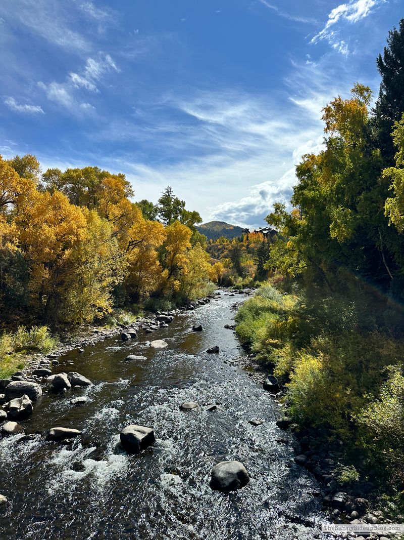 Fall trip and Walmart Christmas (Sunny Side Up)
