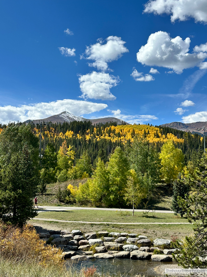 Fall trip and Walmart Christmas (Sunny Side Up)