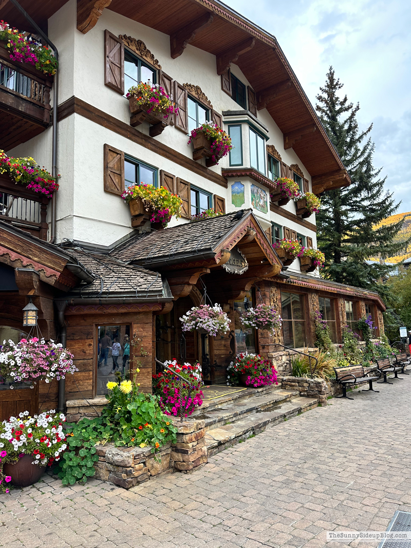 Fall trip and Walmart Christmas (Sunny Side Up)