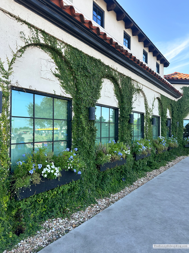 Parent's Weekend (Sunny Side Up)