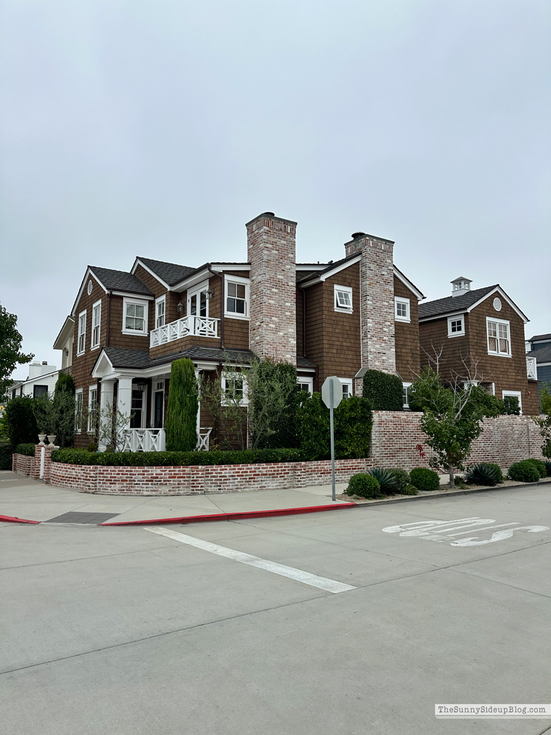 Christmas arrivals, Prime and Newport (Sunny Side Up)