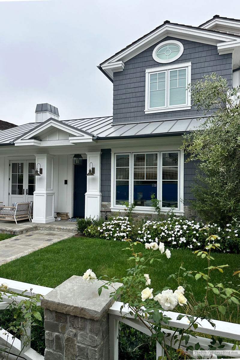 Christmas arrivals, Prime and Newport (Sunny Side Up)