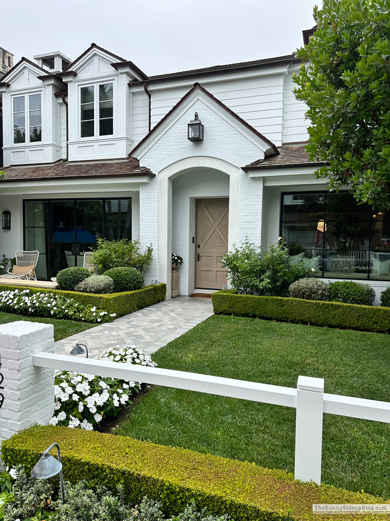 Christmas arrivals, Prime and Newport (Sunny Side Up)