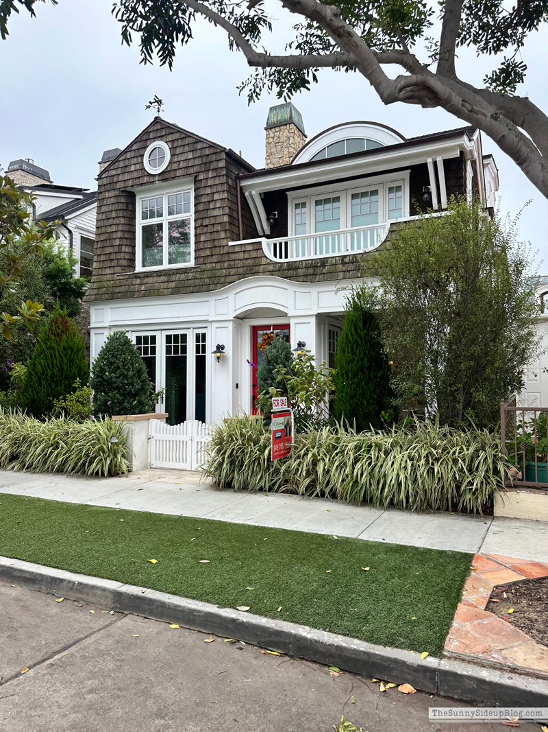 Christmas arrivals, Prime and Newport (Sunny Side Up)