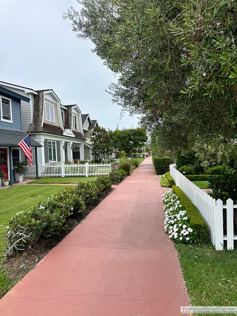 Christmas arrivals, Prime and Newport (Sunny Side Up)