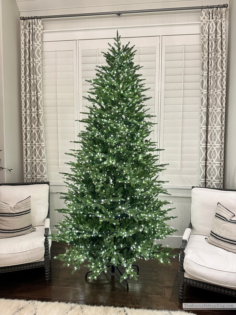 Holiday (Sunny Side Up)