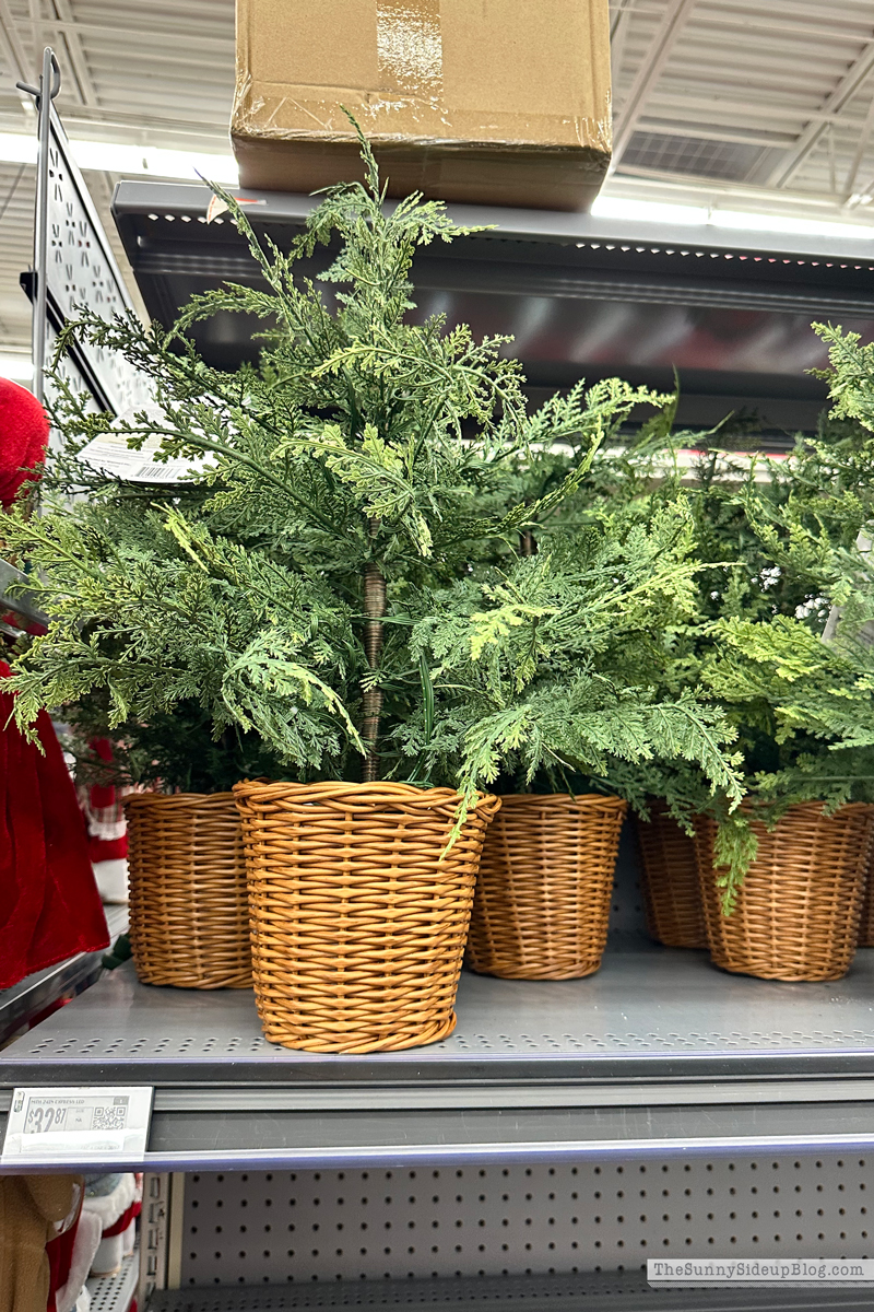 Fall trip and Walmart Christmas (Sunny Side Up)