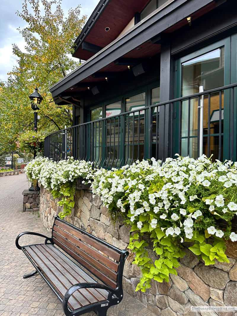 Fall trip and Walmart Christmas (Sunny Side Up)