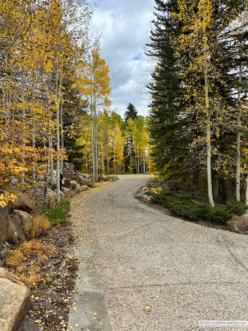 Fall trip and Walmart Christmas (Sunny Side Up)