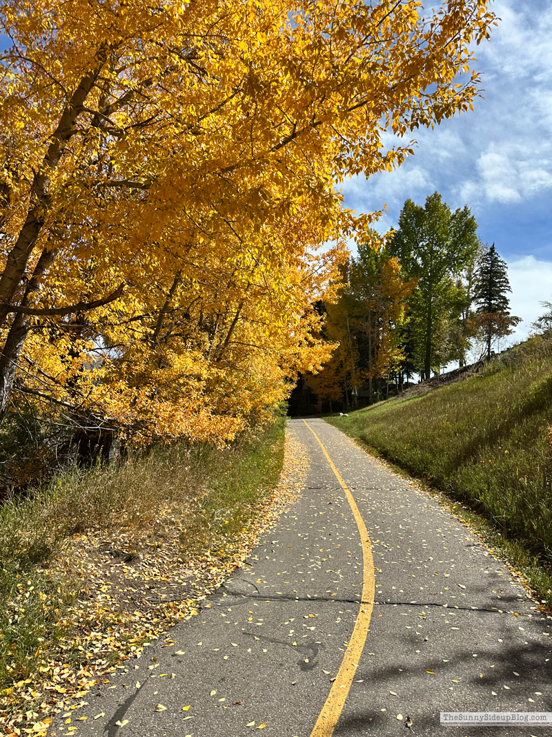 Fall trip and Walmart Christmas (Sunny Side Up)
