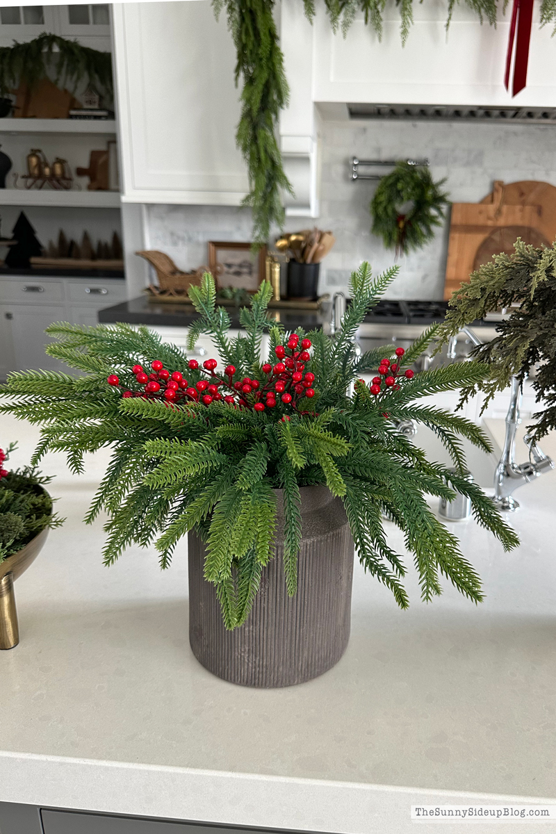 Christmas Decorating Ideas (Saturday 6 - Sunny Side Up)