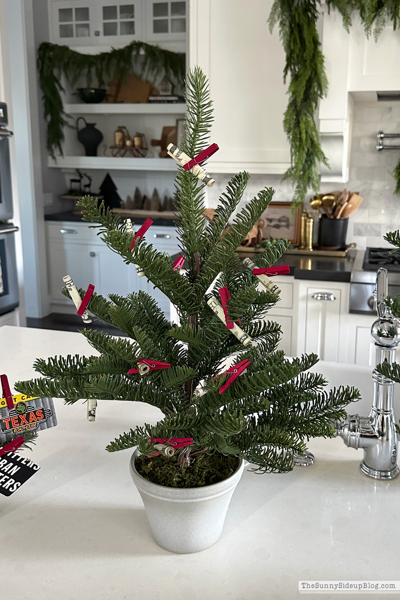 Black Friday Sales (Sunny Side Up)