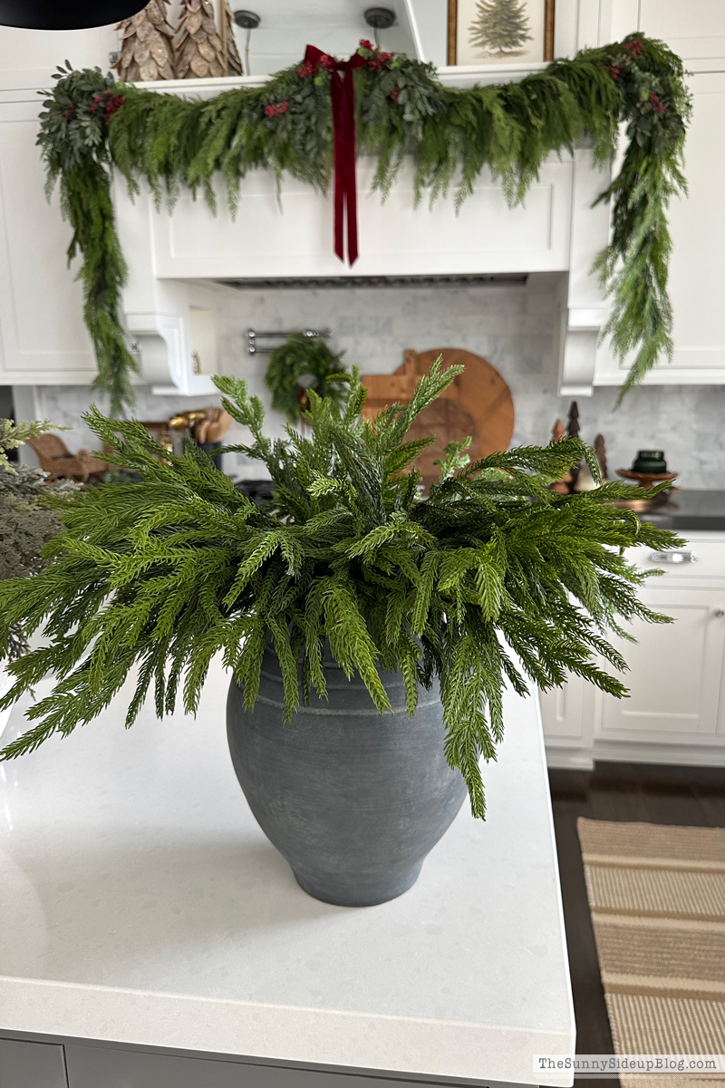 Christmas Decorating Ideas (Saturday 6 - Sunny Side Up)