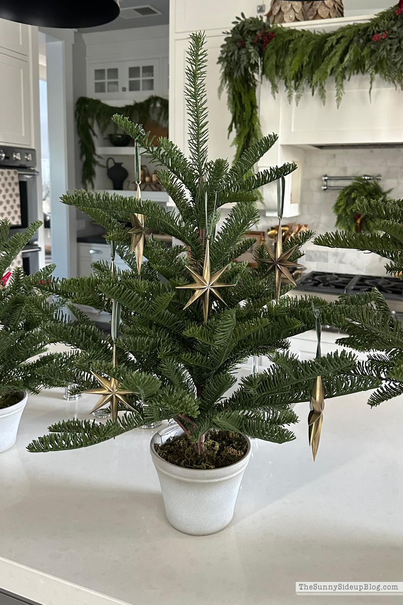 Black Friday Sales (Sunny Side Up)