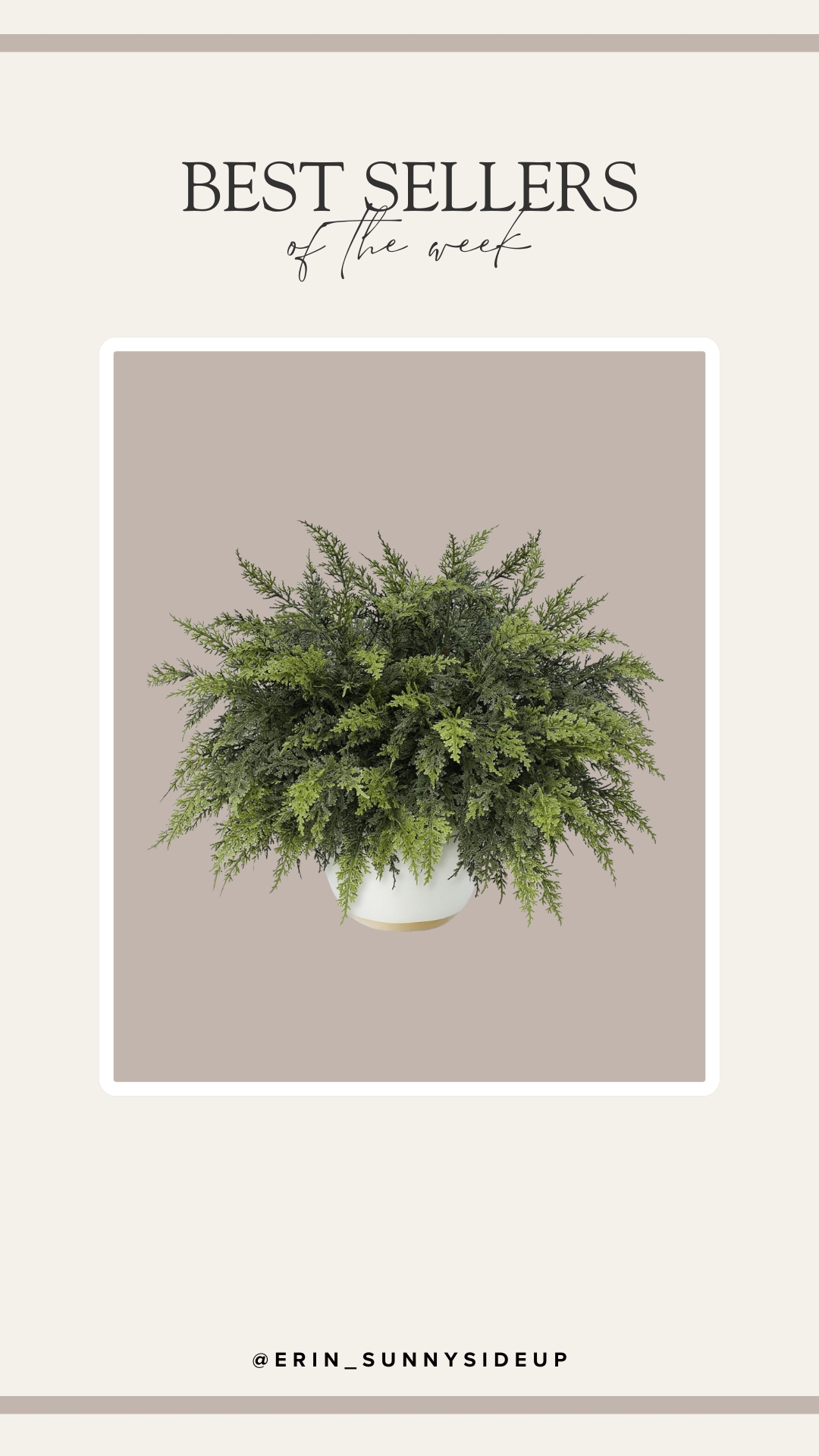 Sunday Edit (Sunny Side Up Blog)