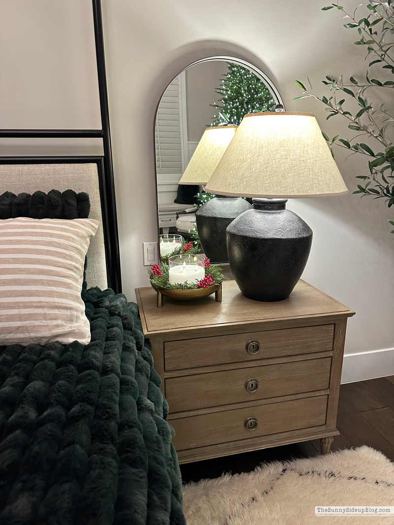 2025 Christmas Home Tour (Sunny Side Up)