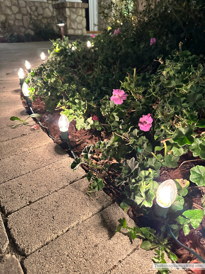 Holiday Bow Porch (Sunny Side Up)