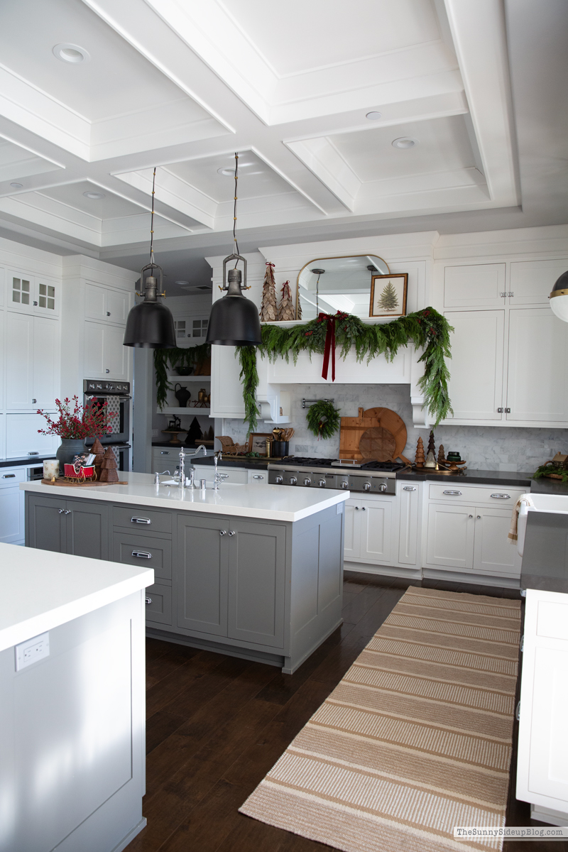 2025 Christmas Home Tour (Sunny Side Up)