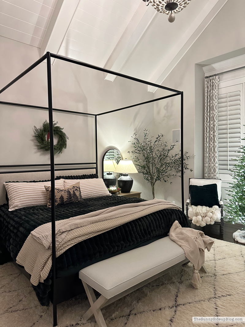 2025 Christmas Home Tour (Sunny Side Up)