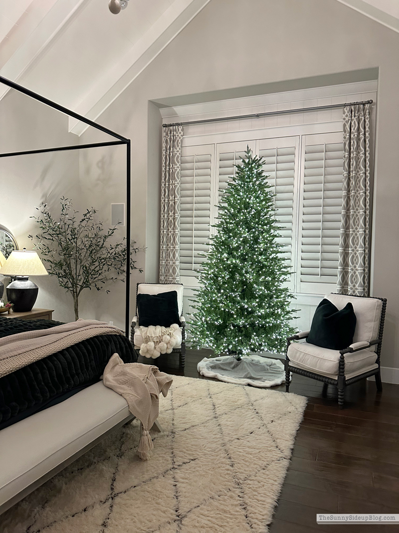 2025 Christmas Home Tour (Sunny Side Up)