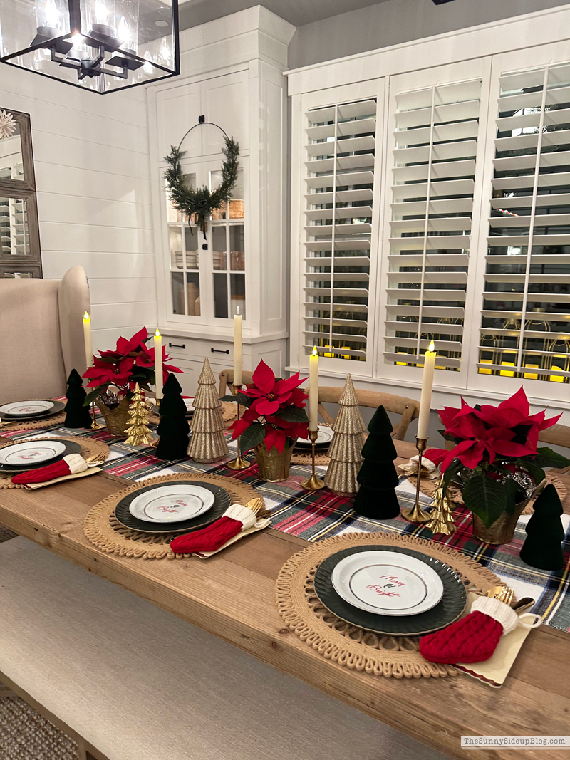 PJ Party 2025 (Sunny Side Up)