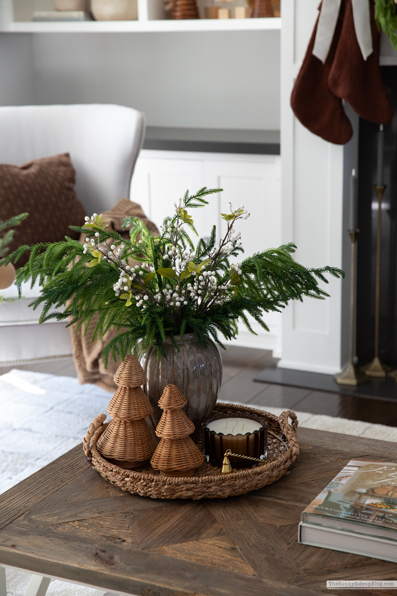 2025 Christmas Home Tour (Sunny Side Up)