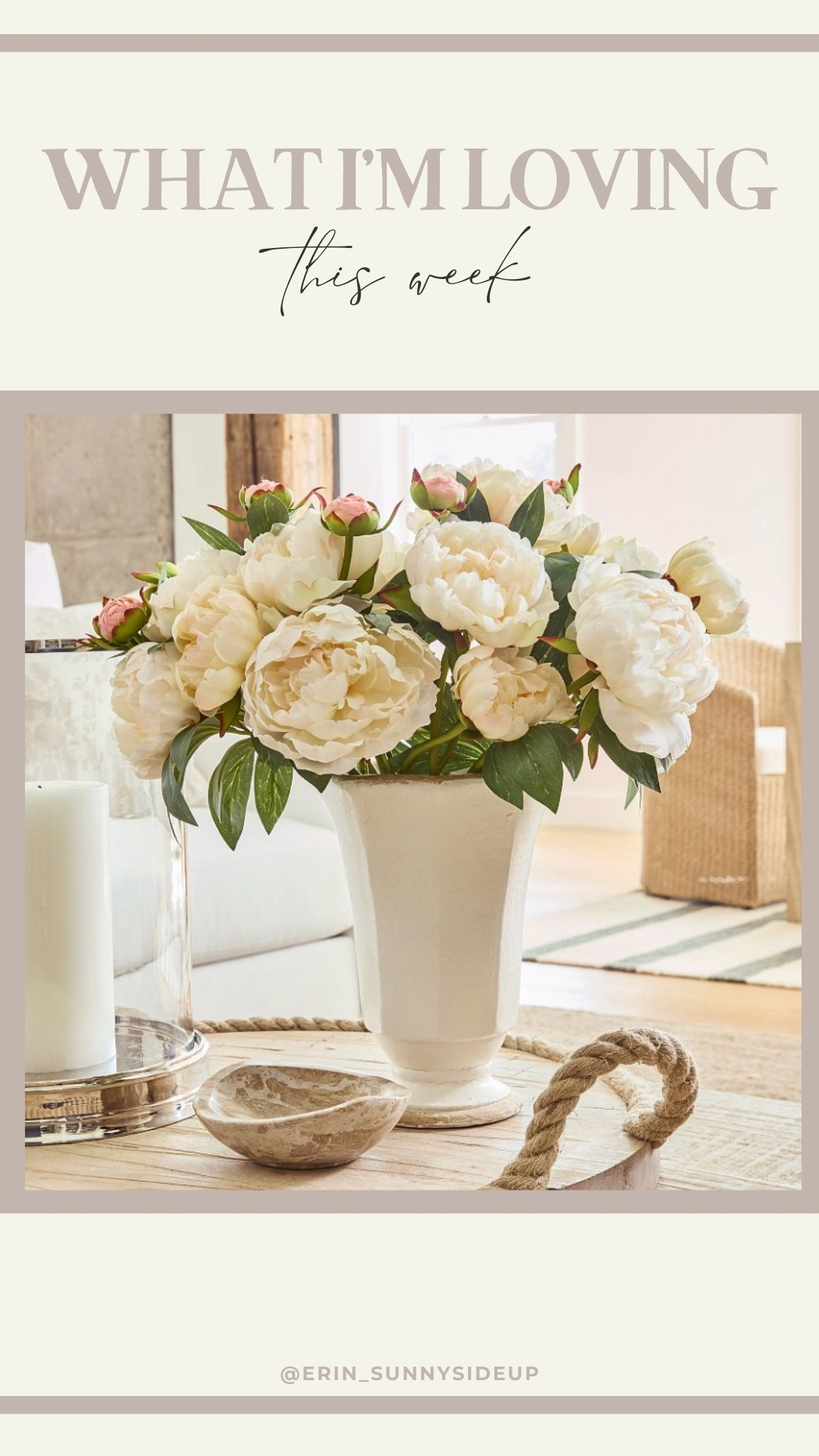 Sunday Edit (Sunny Lifestyles)