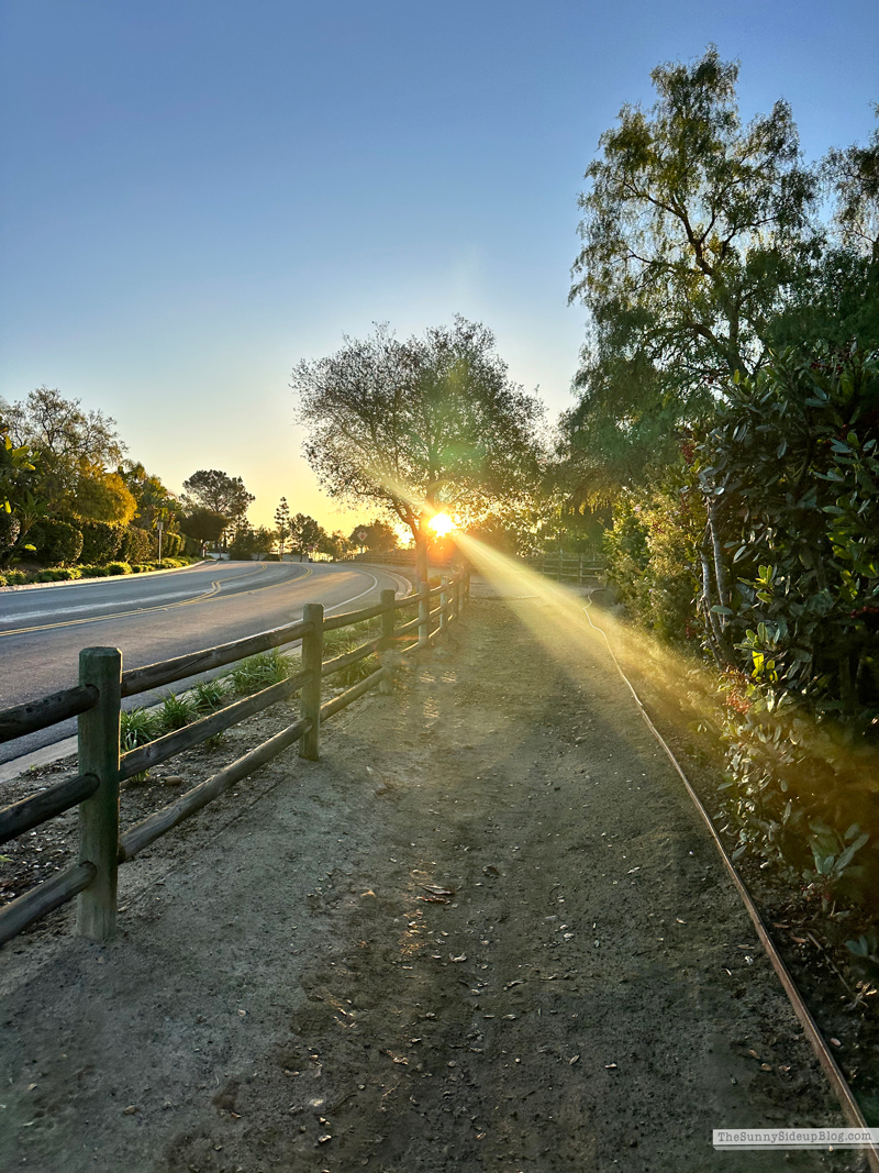 20 things to do in January for a fresh start! (Sunny Side Up)