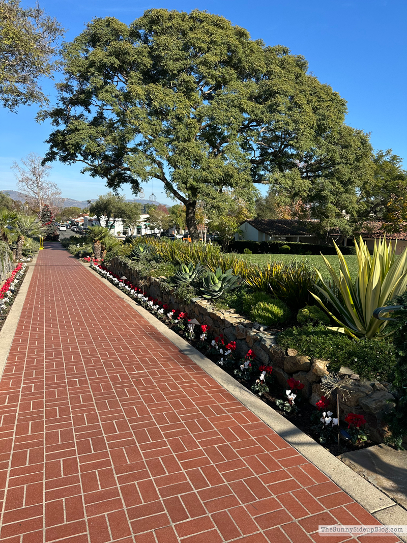 Stocking Exchange Party (Sunny Side Up)