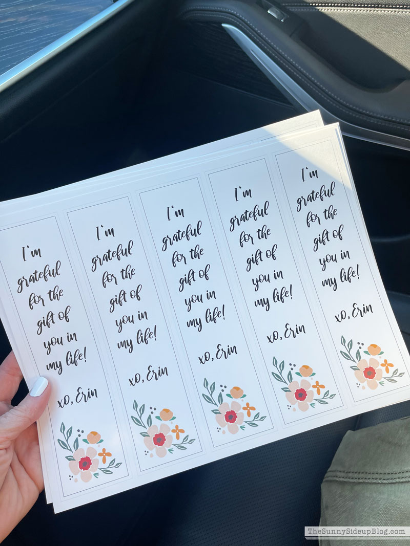 Sunday Edit (Sunny Side Up Blog)