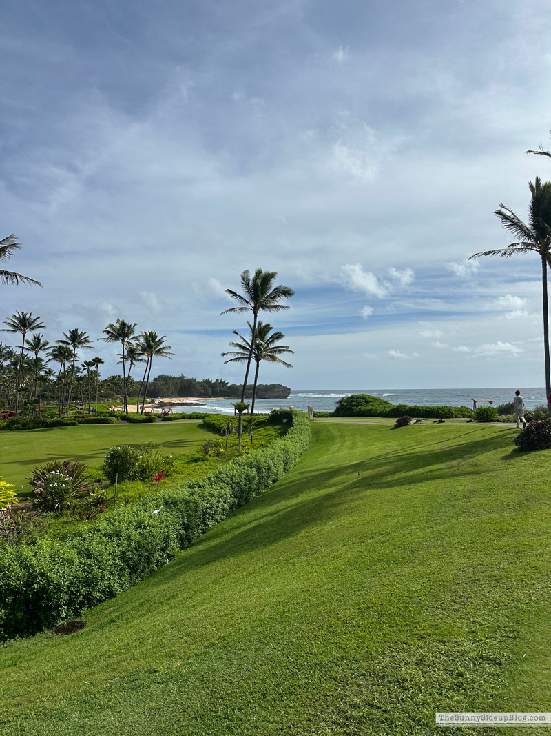 Happy 2026! (Sunny Side Up)