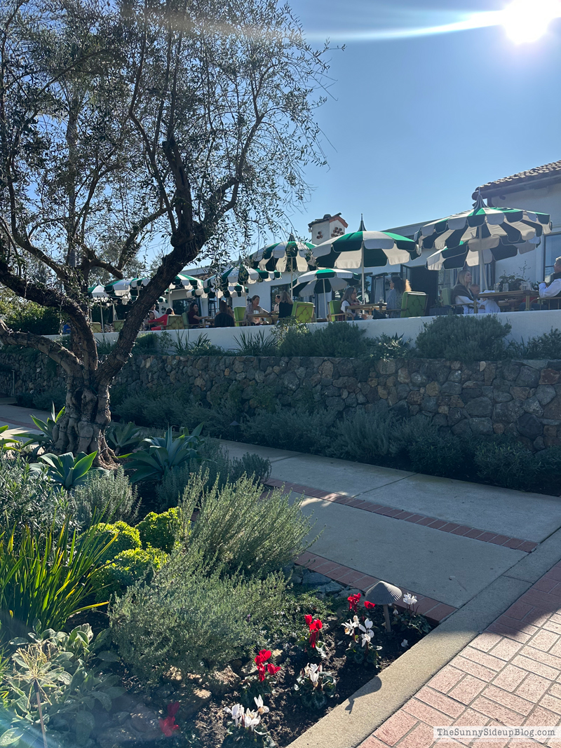 Stocking Exchange Party (Sunny Side Up)