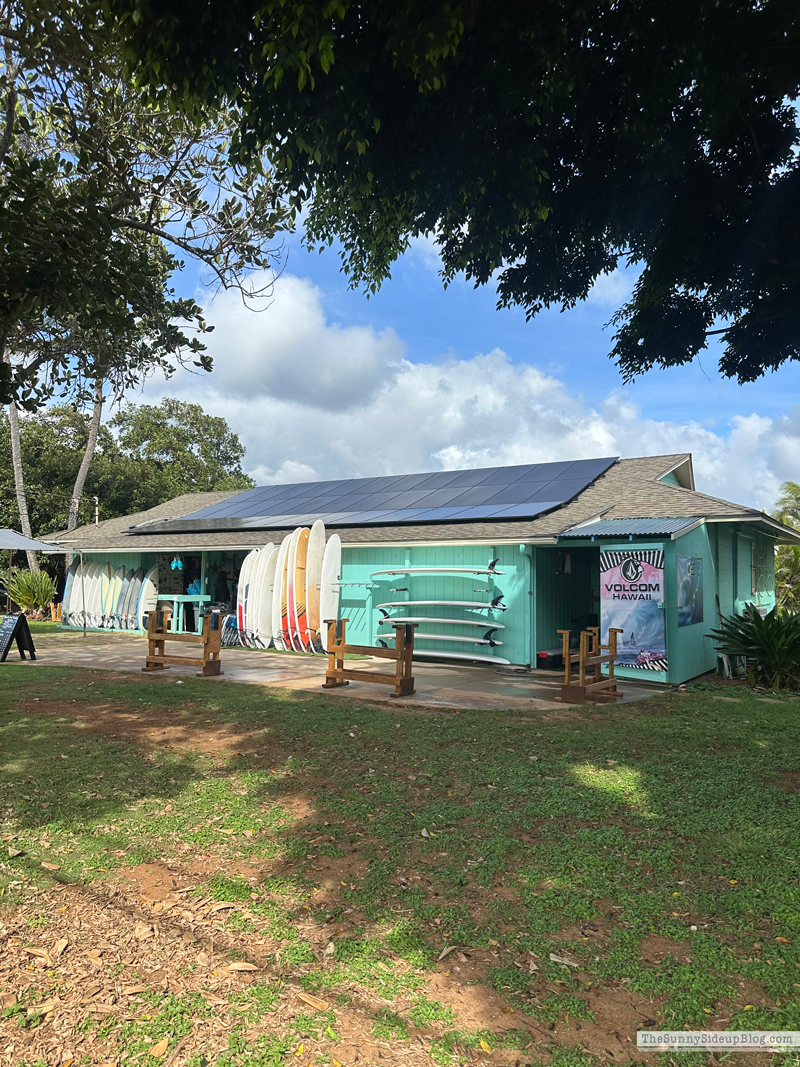 Happy 2026! (Sunny Side Up)