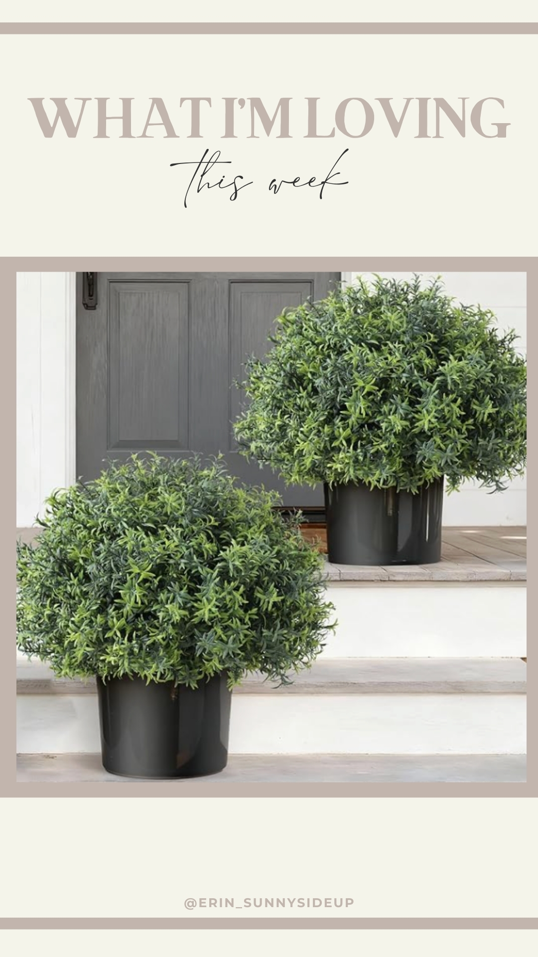 Sunday Edit (Sunny Side Up Blog)