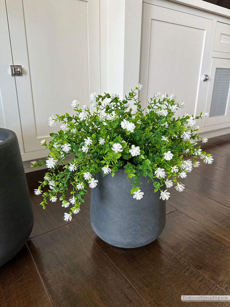 Spring Favorites (Sunny Side Up)