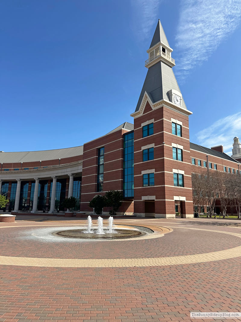 Saturday 6 (Sunny Side Up)