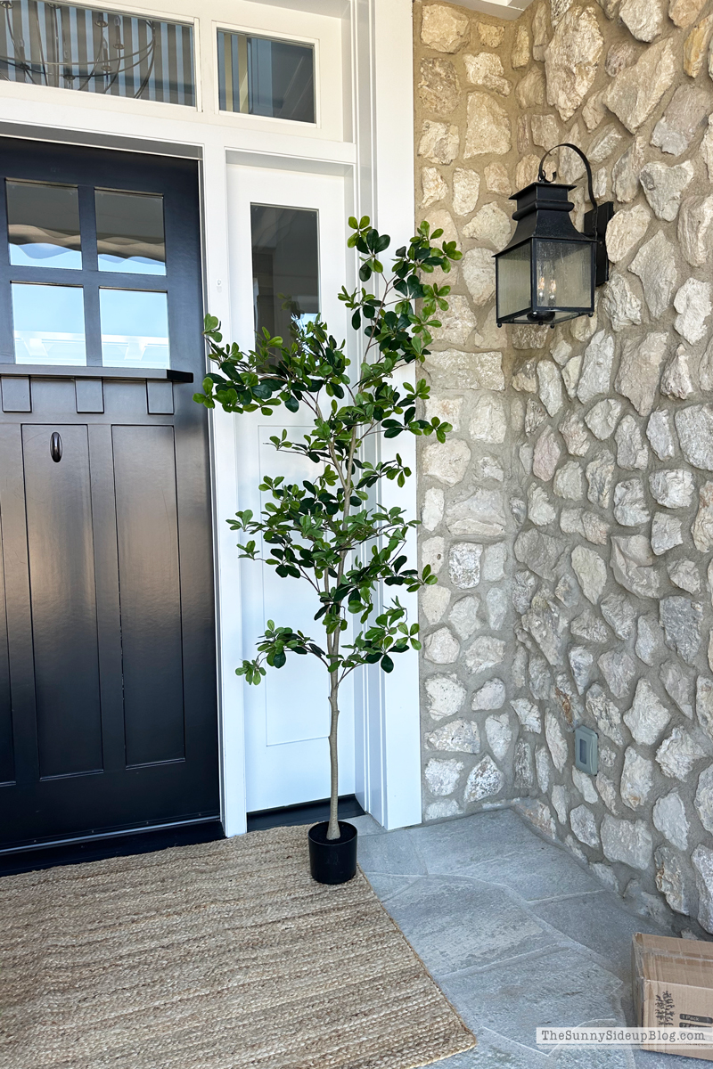 Sunday Six (Sunny Side Up)