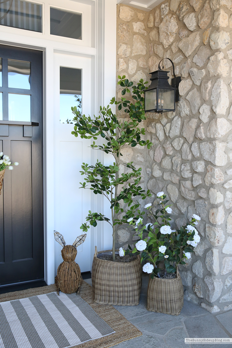 Spring Porch (Sunny Side Up)