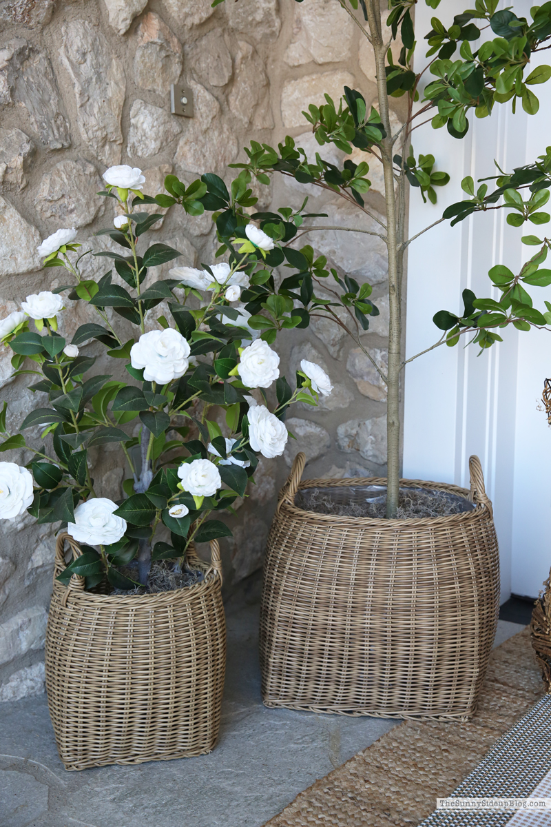 Spring Porch (Sunny Side Up)