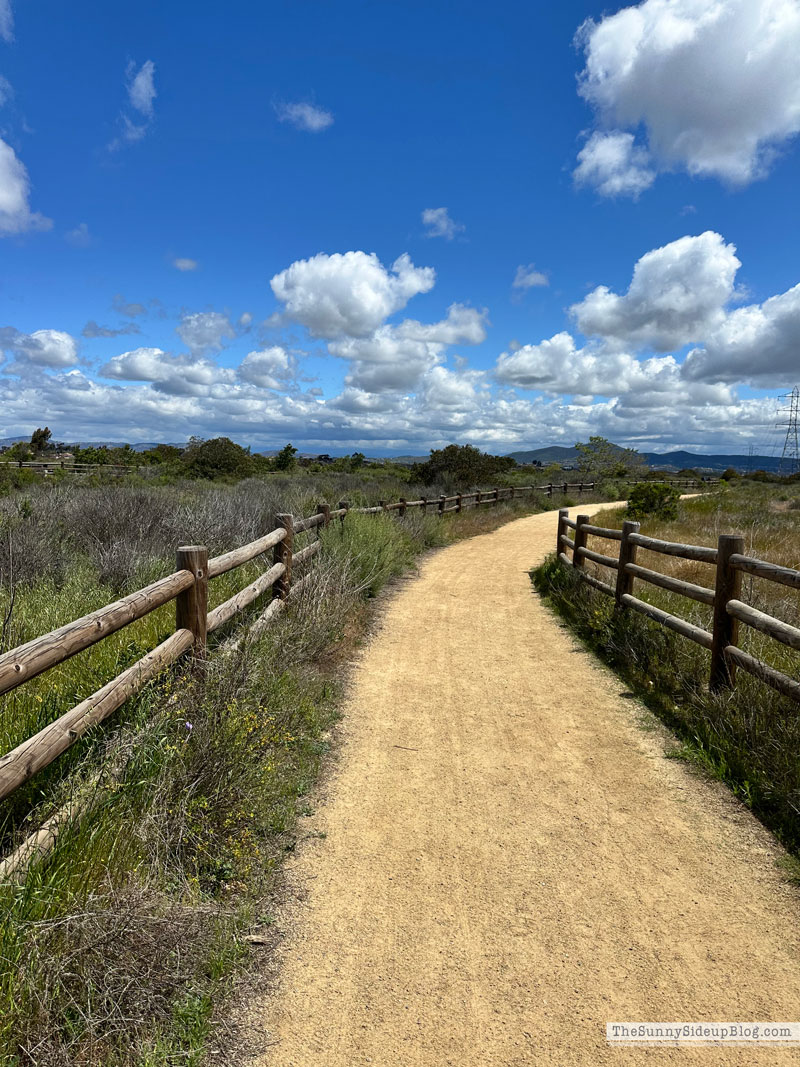 Sunday Edit (Sunny Side Up Blog)