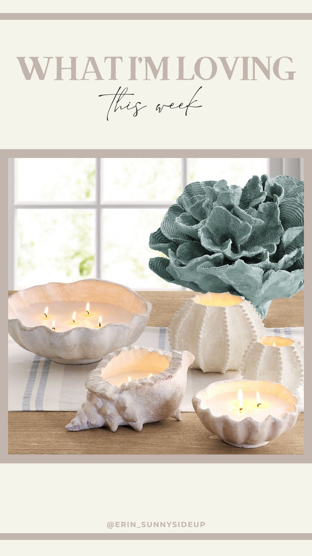 Sunday Six (Sunny Side Up Blog)