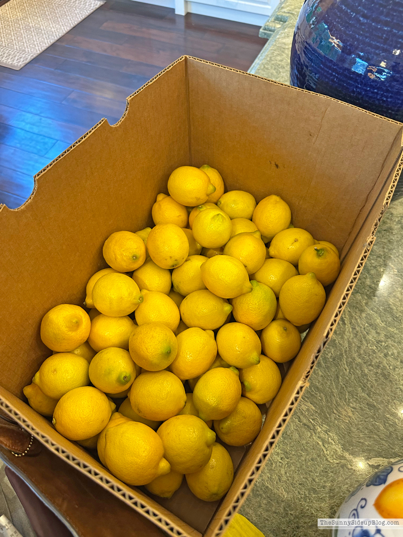 Blue and Yellow Wedding Shower with Lemons! (Sunny Side Up)