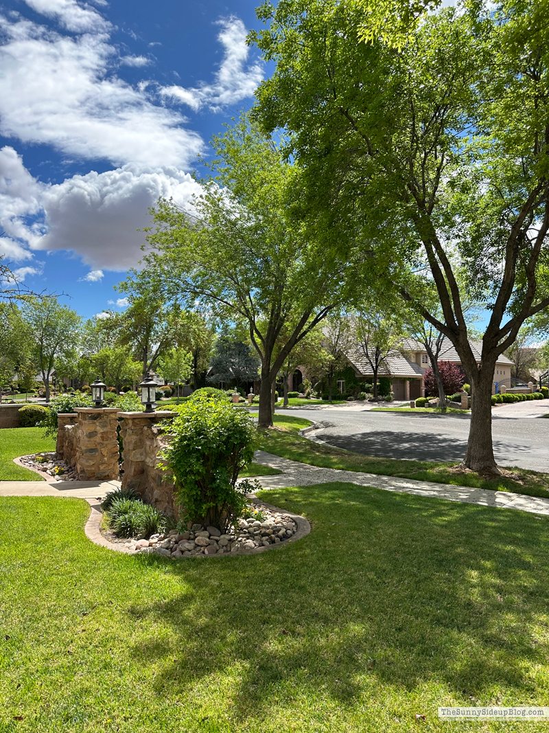 Mom's Spring Porch (Sunny Side Up)