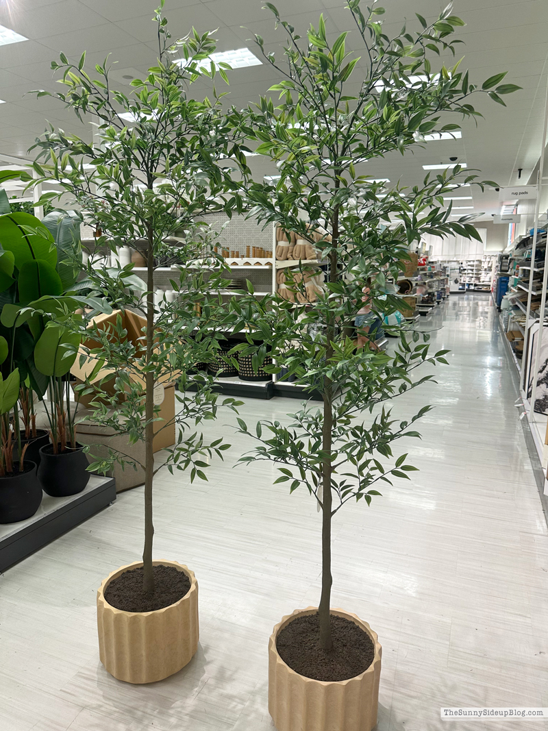 Mom's Spring Porch (Sunny Side Up)