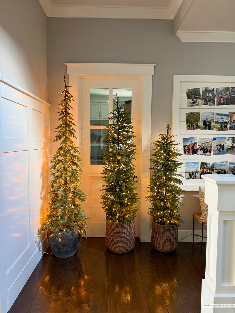 Holiday Favorites (Sunny Side Up)